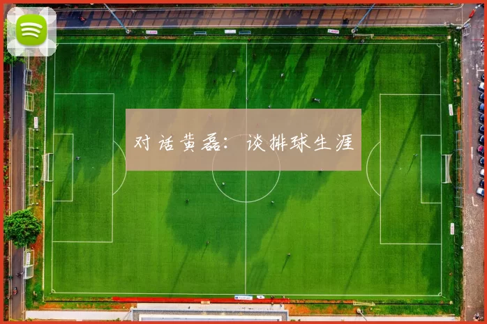 对话黄磊：谈排球生涯