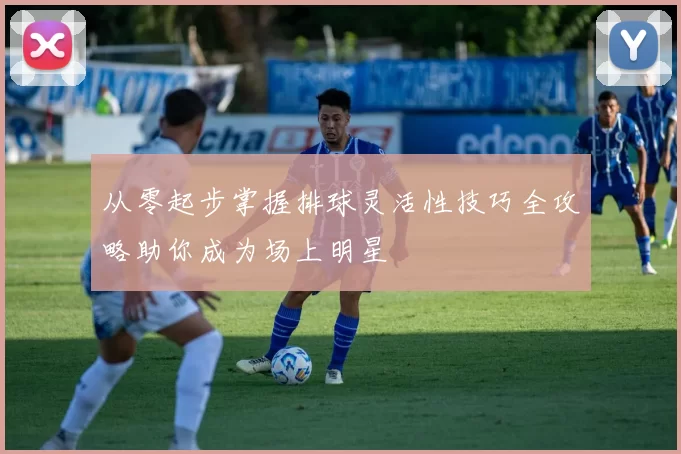 从零起步掌握排球灵活性技巧全攻略助你成为场上明星