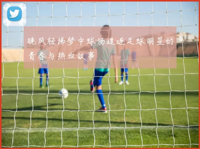 晚风轻拂梦中球场追逐足球明星的青春与热血故事