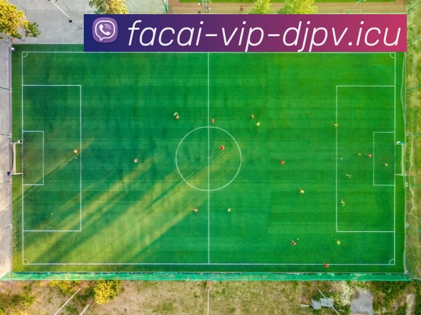 华体会体育APP 高清赛事图